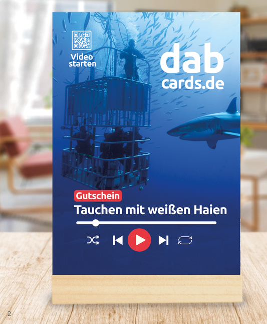 PREMIUM: 6 Tage Tauchen mit Haien: Gutschein aus Plexiglas